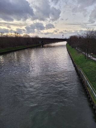 Einer der wenigen sonnigen Momente im Januar in Mannheim.