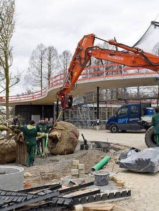 Baumtransport vor der fast fertigen Vogelvoliere.