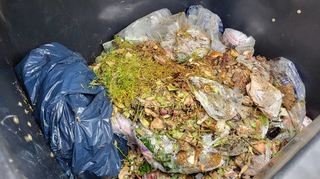 Inhalt einer untersuchten Biotonne: Neben Bioabfällen befanden sich darin auch mehrere Plastiktüten.