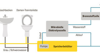 So wird aus Urin Energie
