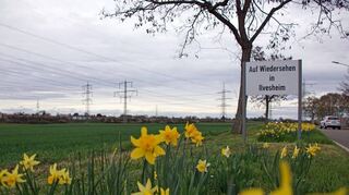 Die Sichelkrümme – fotografiert mit Blick in Richtung Wallstadt. Für die Entwicklung dieser Fläche soll es bald drei Entwürfe geben.