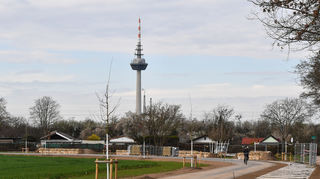 ADFC und Bündnis Fahrradstadt warnen seit Baubeginn vor einer Planungspanne am Radschnellweg in Mannheim und fordern Nachbesserungen