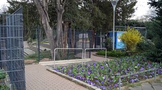 Der Eingang zum Herzogenriedpark (Jakob-Trumpfheller-Straße) wurde barrierefrei umgestaltet.