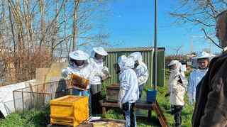 Umzugsvorbereitung: Die Jungimker proben das sogenannte Umsetzen eines Bienenvolkes.