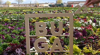 Das Buga23 Logo in Mannheim auf einem Blumenbeet.