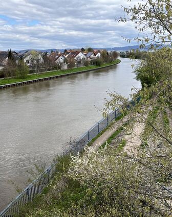 Die Gemeinde Ilvesheim ist von viel Wasser umgeben. Dies macht den Ort durchaus attraktiv für Wärmegewinnung aus Fluss oder Kanal.