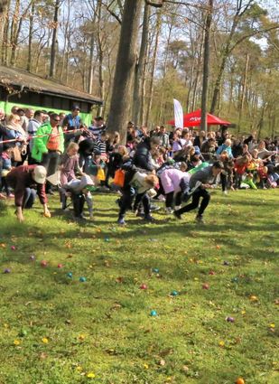 Nach dem Startschuss gab es kein Halten mehr. Rund 1200 bunte Ostereier wurden in kürzester Zeit abgegrast.