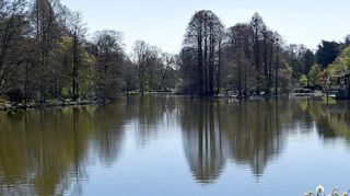 Deutlich emporgewachsen sind die Bäume rund um den Kutzerweiher und auf der Vogelinsel.