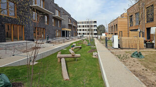 Zentrale Grünanlage für mehrere Häuser, hier zwischen Borkh- und Droller-Straße.