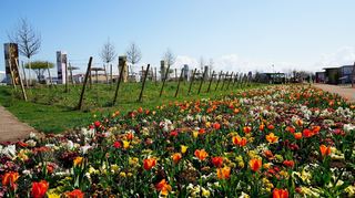 Blumen und Bäume, so weit das Auge reicht: das Spinelli-Gelände auf der Buga 23 in Mannheim.