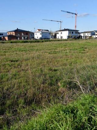 Folge 1: Das Baugebiet „Mitten im Feld“ in Heddesheim.