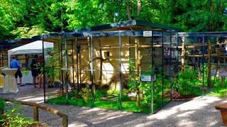 Der Landauer Zoo