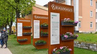 Die Stadt lehnte entsprechende Anträge im Hauptausschuss ab.