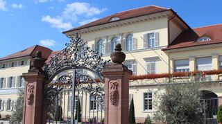 Schloss mit Eingangstor des einstigen „Grafengartens“, des neckarseitigen Schlossparks, der durch Hallen- und Schwimmbadbau 1971 verschwand.