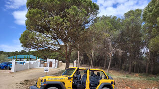 mid Malaga - Dieser Jeep Rubicon steht leider nicht zur Testfahrt zur Verfügung, er gehört dem Besitzer der Finca in Malaga.