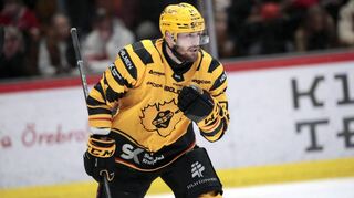 Tom Kühnhackl trug in den vergangenen beiden Spielzeiten das Trikot des schwedischen Clubs Skellefteå AIK, mit dem er in diesem Jahr die Vizemeisterschaft gewann.