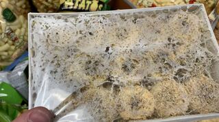 Backwaren mit Mottennesttern: Auch diese Entdeckung machten die Lebensmittelkontrolleure des Rhein-Neckar-Kreises im vergangenen Jahr.