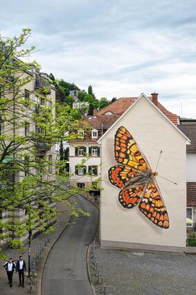 Der Goldene Scheckenfalter an dieser Hauswand in der Uferstraße unweit der Theodor-Heuss-Brücke kann durch eine App wirklich davonfliegen.