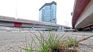 Platz für Grün gibt es im Ludwigshafen sehr wenig: 67 Prozent der Fläche der Stadt sind versiegelt.