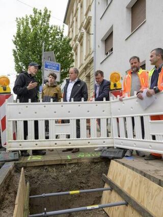 Die schmale Grube, die einer jungen Ulme zum Wurzeln zur Verfügung steht.