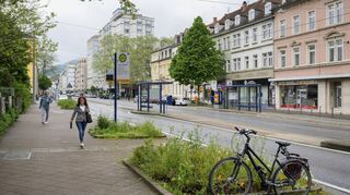 Die Bergheimer Straße in Heidelberg: Zwischen Häusern, Schienen, Stromleitung und Erschließung im Boden haben es Bäume schwer.
