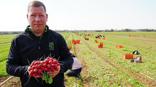 Steffen Sahler (Gemüsebau Sahler, Dannstadt-Schauernheim) zeigt zwei Bund Radieschen auf einem Feld bei Meckenheim.