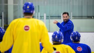 Todd Woodcroft arbeitete unter anderem als Co-Trainer der schwedischen Nationalmannschaft.