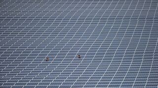 In Ilvesheim könnten Solaranlagen wie diese insbesondere in der Nähe der Autobahn stehen, die Gemeinde besitzt zwei geeignete Grundstücke.
