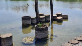 Die Fontäne ist ausgeschaltet, der Wasserstand niedrig: Bürgerinnen und Bürger auf der Vogelstang sorgen sich um den Zustand des Sees.