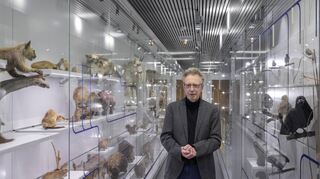 Das ehemalige Zoologische Museum wurde unter der Regie von Thomas Holstein zur modernen Lehr- und Schausammlung „Timeline Evolution “ umgebaut.