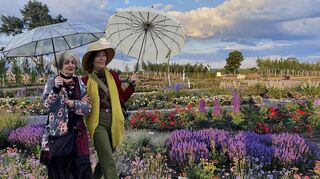 Setzen sich für den Klimaschutz ein: Marianne Pitzen (l.) und Daniela Flörsheim.