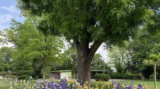 Im Stadtpark dreht sich am Freitag alles um grüne Quartiere.
