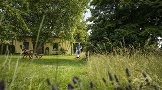 Weniger Rasenmähen im Sommer fördert die Bodengesundheit und schafft Platz für widerstandsfähige Kräuter. Längeres Gras schützt zudem den Boden und lockt nützliche Insekten an.