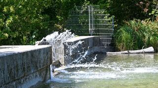 Mit Schläuchen wird am Mannheimer Vogelstangsee vom einen See das Wasser in den anderen See gepumpt.