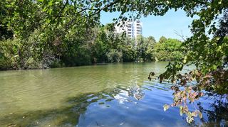 Der Vogelstangsee auf der Vogelstang in Mannheim.