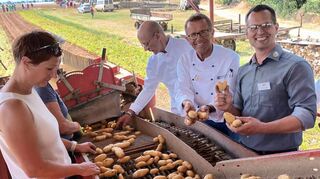 Gereon Haumann (Dehoga, Zweiter v.r.) und Hartmut Magin („Pfälzer Grumbeere“, r.) bei der Ernte zusammen mit Landwirtinnen und Gastronomen.