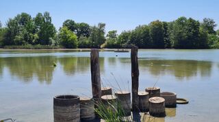 Nach Installation der Notpumpen hat sich die Wasserqualität am Vogeltangsee verbessert. Nun wurden die Notpumpen schwer beschädigt.