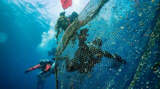 mid Groß-Gerau - Geschätzt werden jährlich mehr als 580 Millionen Kilogramm Fischereiausrüstung ins Meer geworfen, das entspricht einem Zehntel des gesamten Mülls dort.