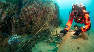 mid Groß-Gerau - Bei der Aktion wurden viele Meerestiere, insbesondere Krebstiere, aus dem Netz gerettet.