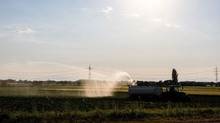 Die anhaltende Trockenheit macht den Landwirten im Südwesten, wie hier in Ehrenkirchen, zu schaffen.