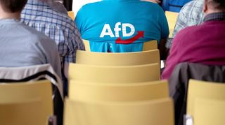 Die AfD verzeichnet bei der Sonntagsfrage zuletzt einen Rekordwert.