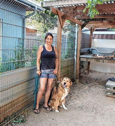 Eine große Aufgabe: Im Viernheimer Tierheim lernt Rüde Matsefu mit Tierheimleiterin Nicole Dalesio den richtigen Umgang mit Menschen.