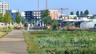 Wässerung der Anlagen auf dem BUGA23 Gelände.