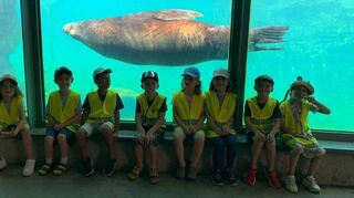 Besonders die Seelöwen begeisterten die Schulanfänger des Awo-Familienzentrums bei ihrem Besuch im Zoo.