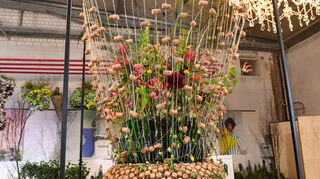 Welt retten, Geld sparen, Style haben, in der Blumenhalle Floristik bei der Mannheimer Buga23.