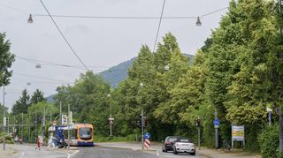 Im Norden Handschuhsheims, an der Haltstelle „Burgstraße“, sollen im Zuge des Umbaus der Dossenheimer Landstraße 17 Bäume gefällt werden.