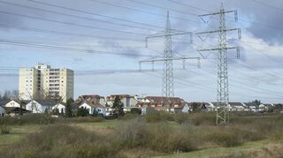 Diese Strommasten in der Nähe des Wohngebiets Guldenweg sollen für die Ultranet-Trasse genutzt werden.
