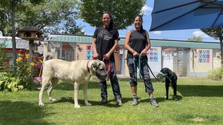 Fürs Foto lächeln sie, aber Nicole Dalesio (v.l., mit zwei Schützlingen) und Nicole Tomera vom Tierheim Viernheim sorgen sich um die Zukunft der Einrichtung.