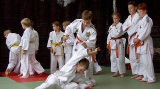 Judo war einst ein Aushängeschild des Vereins. Dieses Bild stammt von 2002. Die hier zu sehenden Kinder sind heute um die 30 – so vergeht die Zeit.