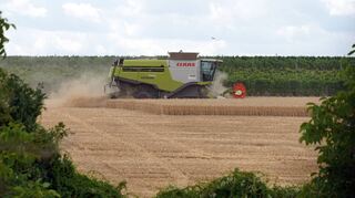 Trockene Angelegenheit: Ein Mähdrescher am Donnerstag bei der Ernte in der Pfalz. Zuletzt kam es öfter zu Flächenbränden in der Region.